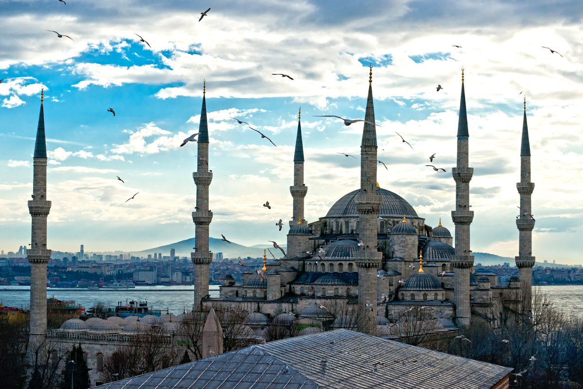 Ερμηνεία του Türkiye σε ένα όνειρο, ερμηνείες του οράματος του ταξιδιού, η σωστή ολοκληρωμένη ερμηνεία - μια εγκυκλοπαίδεια