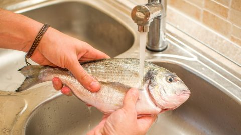 تفسير تنظيف السمك فى المنام لابن سيرين التفسيرات الصحيحة الشاملة