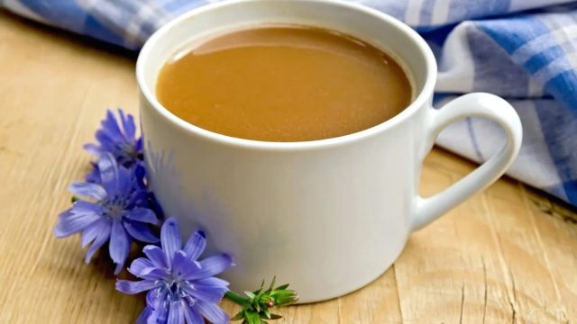 ما هي فوائد قهوة الشيكوريا