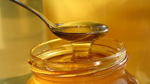 فوائد الماء مع العسل شاهد ما يحدث لجسمك عند شرب العسل مع الماء