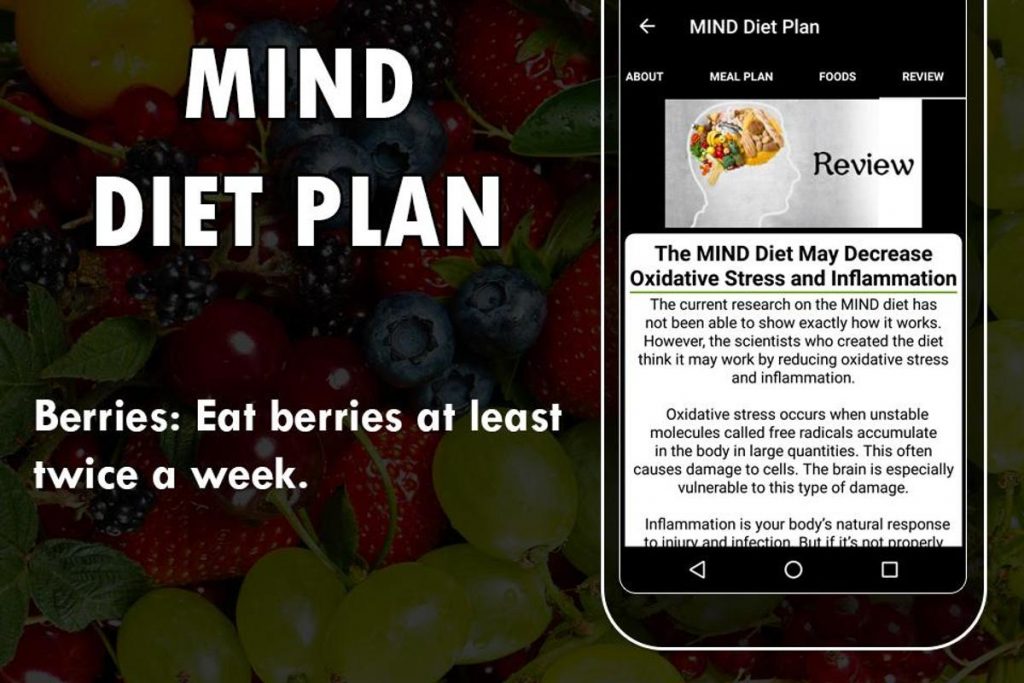 مايند دايت مايند دايت