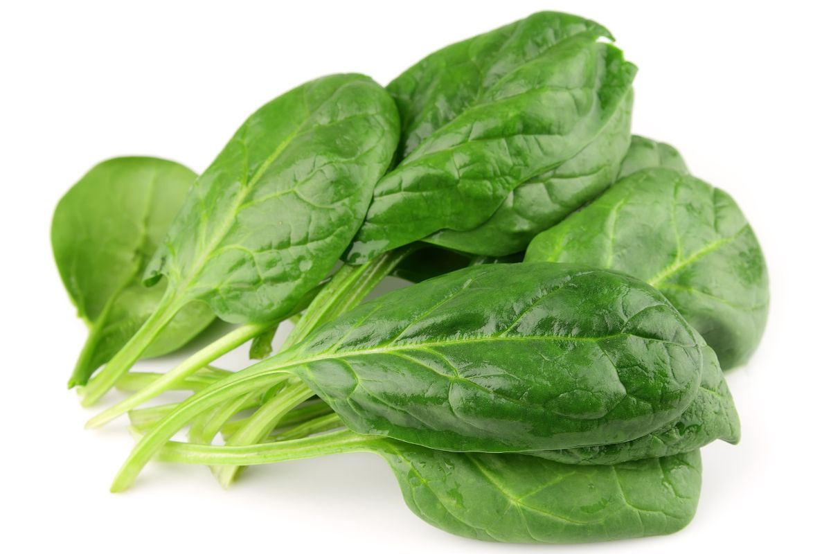 فوائد رجيم السبانخ وطريقة تحضيره في البيت