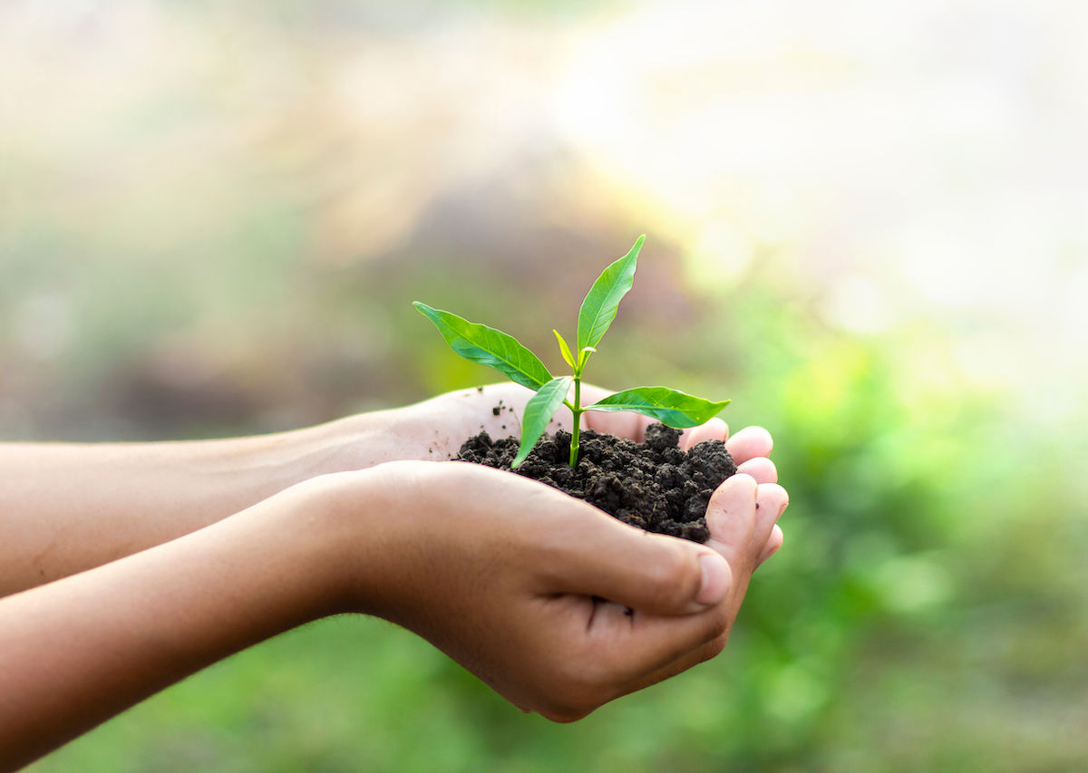 أسماء ارقام جمعيات خيريه تجي للبيت مكة للتبرعات 1445