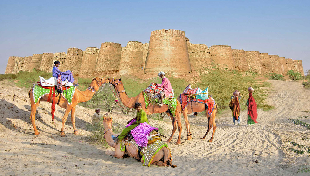 السلمي وش يرجع