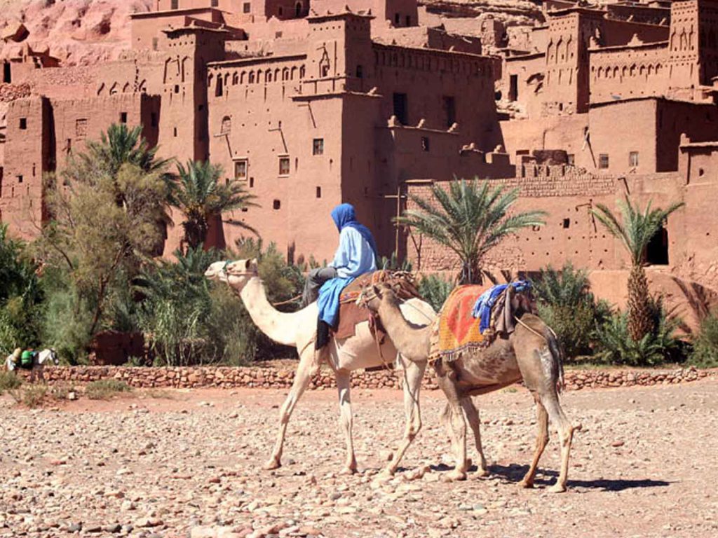 أصل ونسب قبيلة الشامسي وش يرجعون