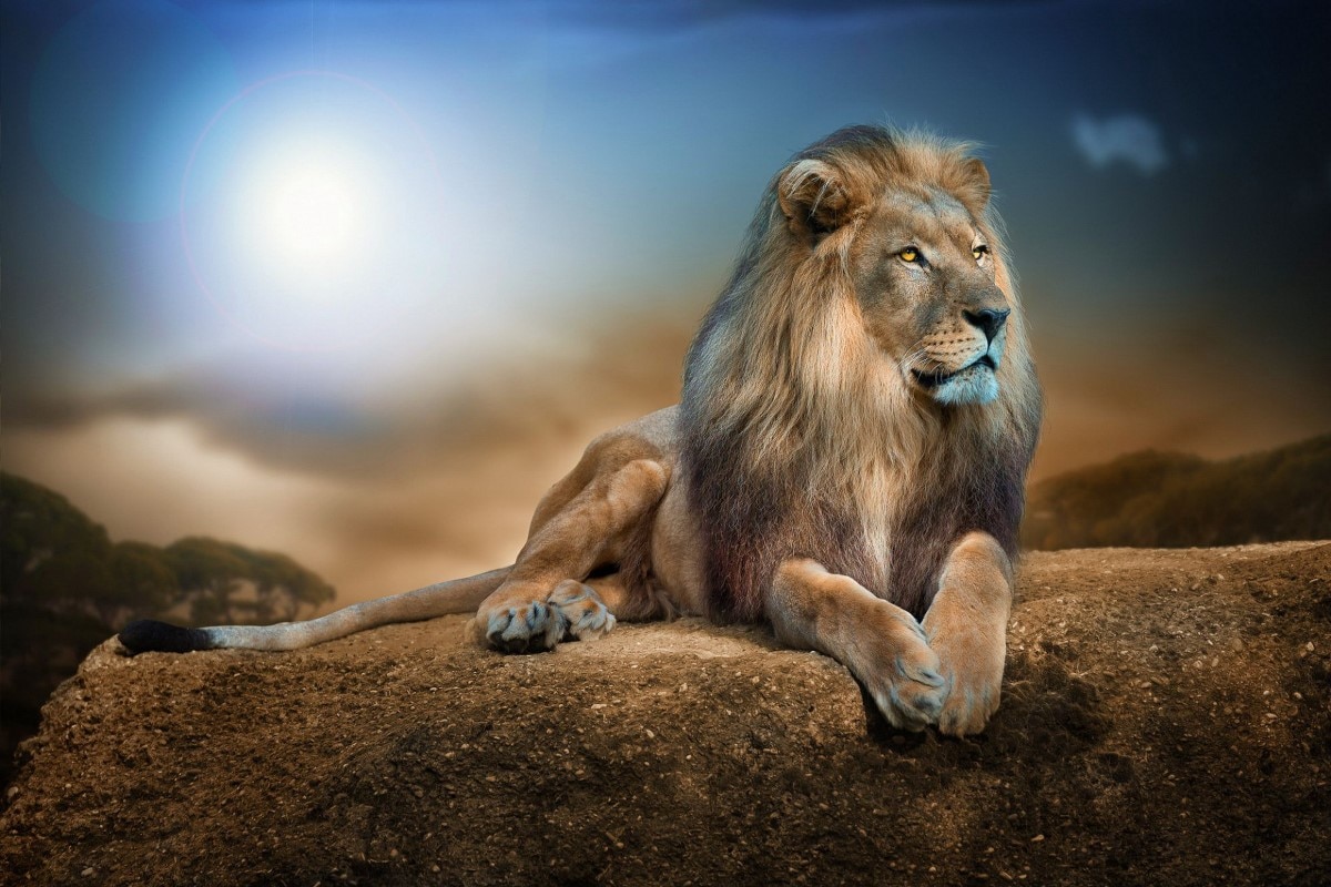 خلفيات اسود 2020 HD