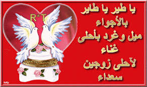 صور عيد ميلاد زواج صور عيد ميلاد زواج