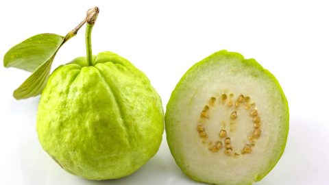 ما هي فوائد الجوافة للاطفال وطريقة تحضيرها والوقت المناسب لأكلها