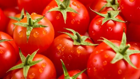 فوائد الطماطم للبشرة والجلد وطريقة تحضير ماسكات استخدامها