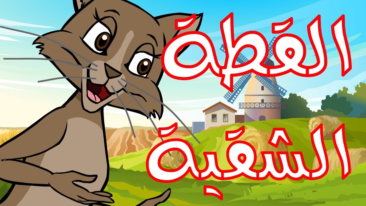 قصة القطة الشقية قصة القطة الشقية