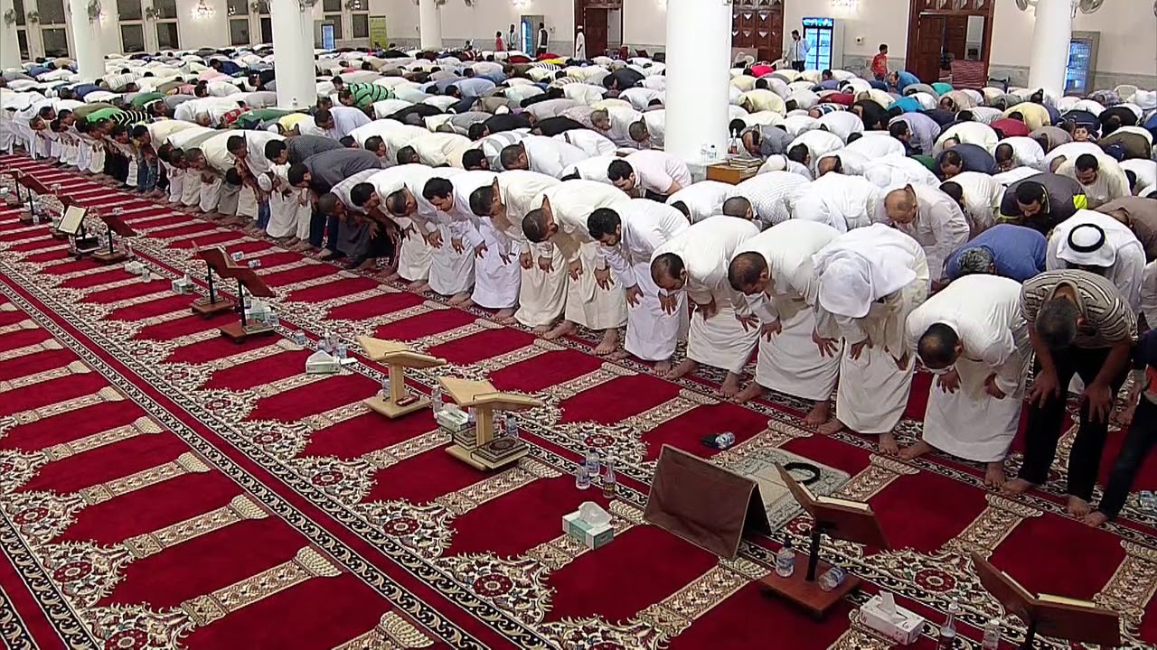 كم عدد صلاة التراويح في رمضان وفضلها وكيفيه ادائها 1445 شرح شامل