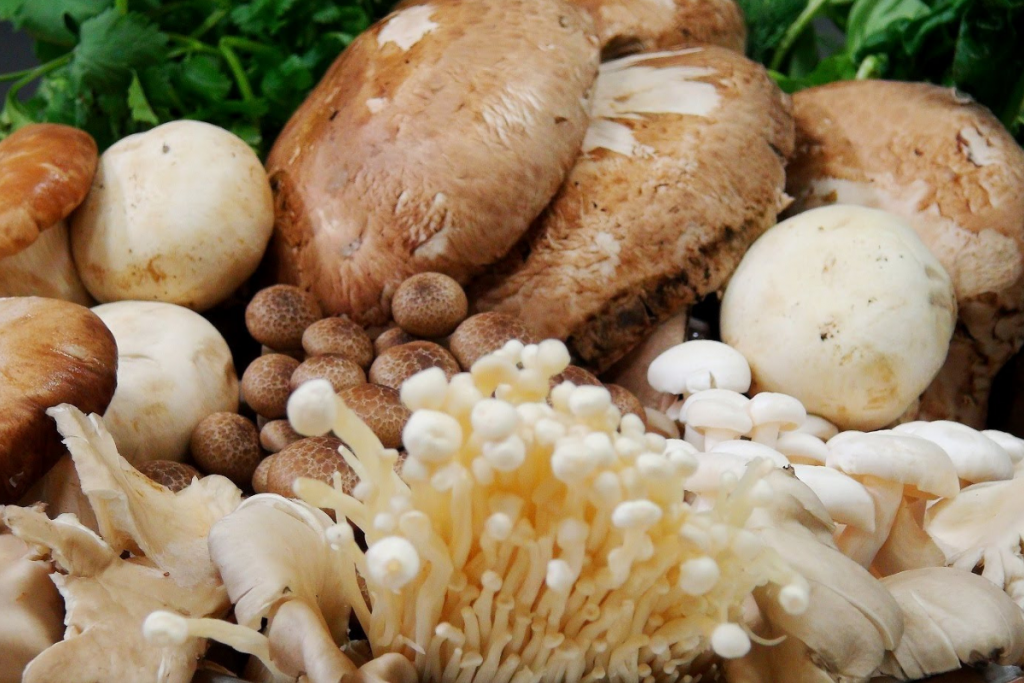 الممالك الست الممالك الست