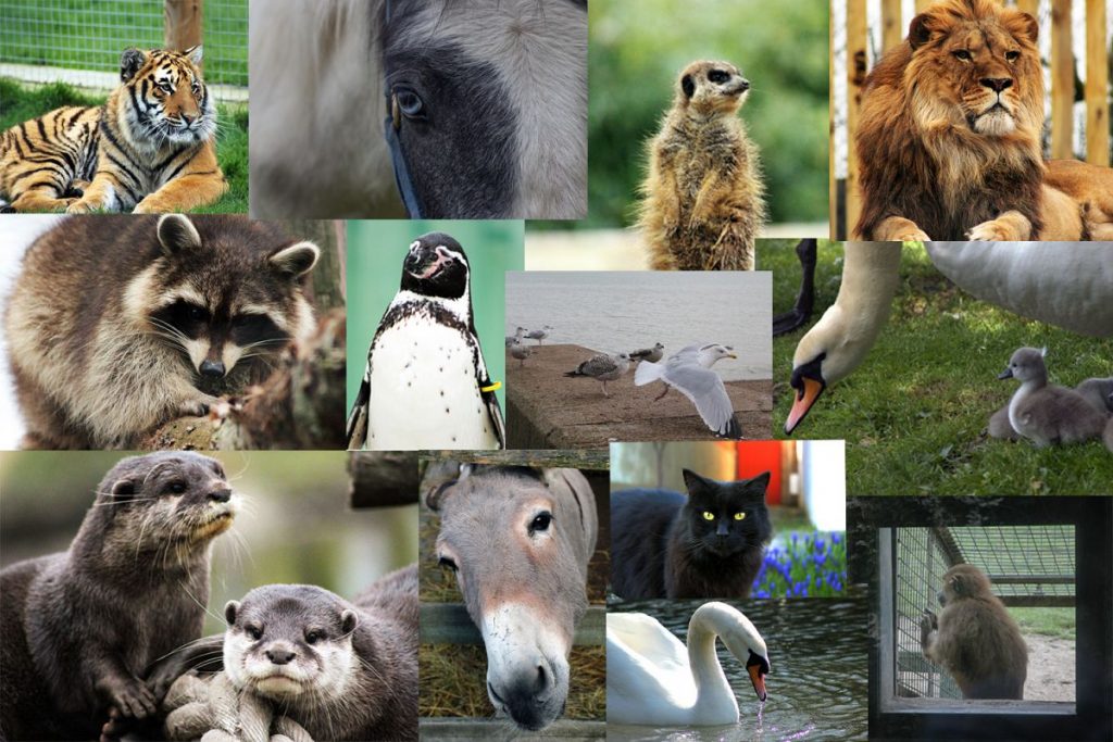 الممالك الست الممالك الست