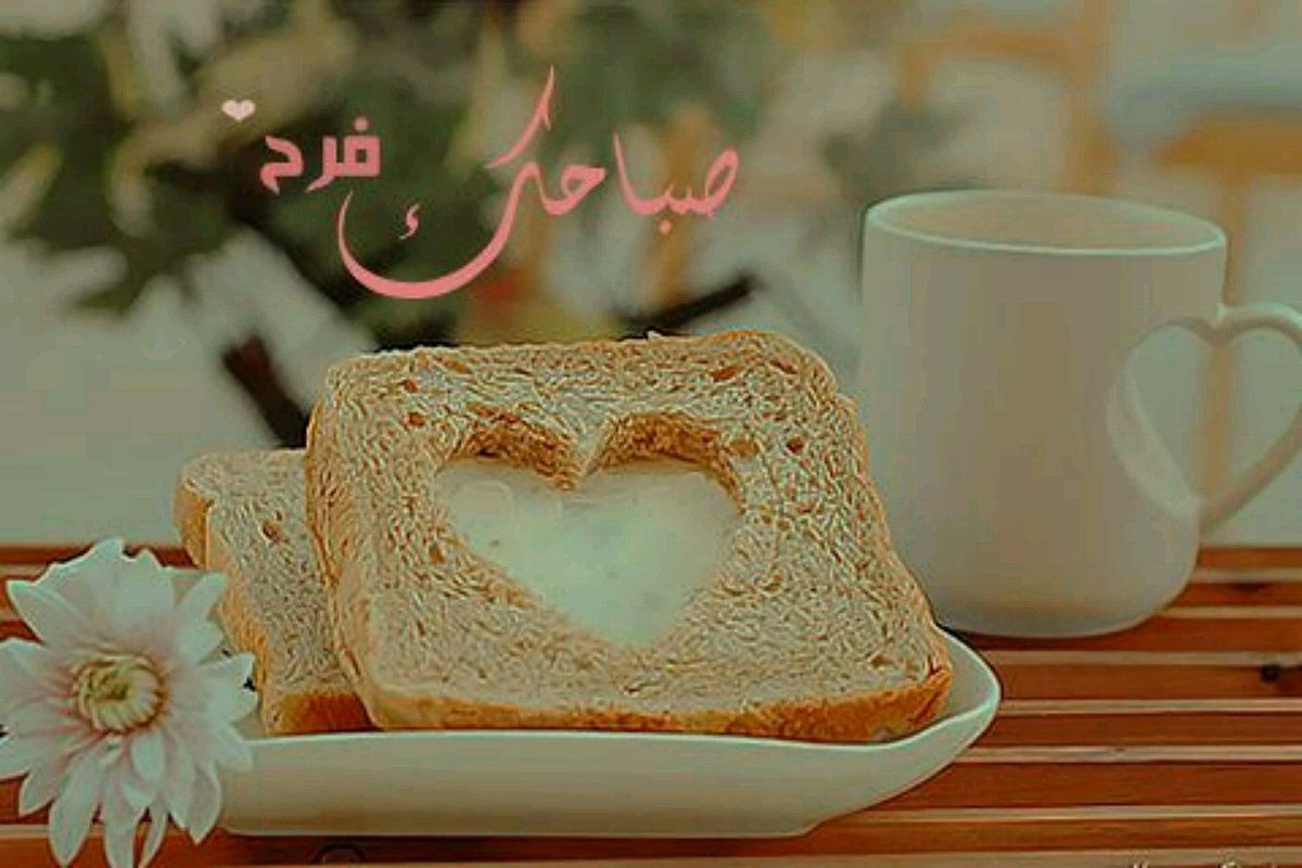 صباح الخير – أجمل العبارات والكلمات