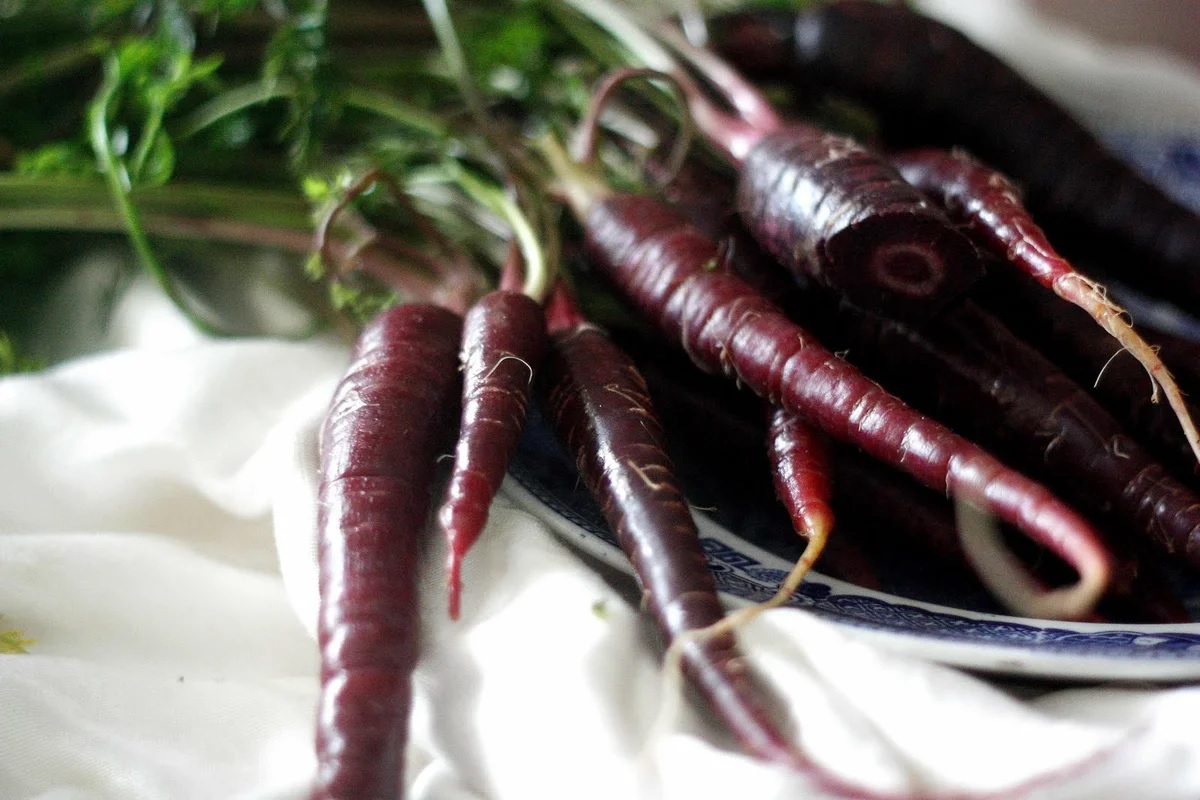 ما هي فوائد الجزر الاسود للصحة والتخسيس