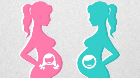 معرفة نوع الجنين عن طريق البول وبيكربونات الصوديوم