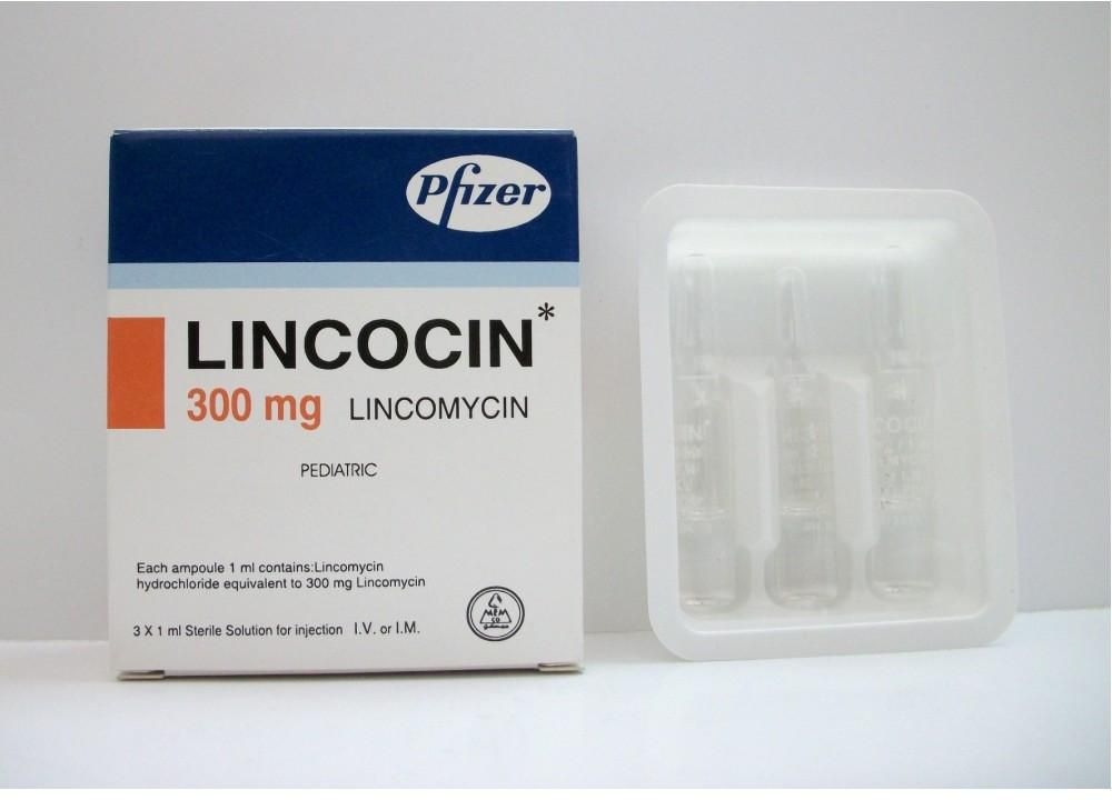 معلومات عن المضاد الحيوي لينكوسين Lincocin