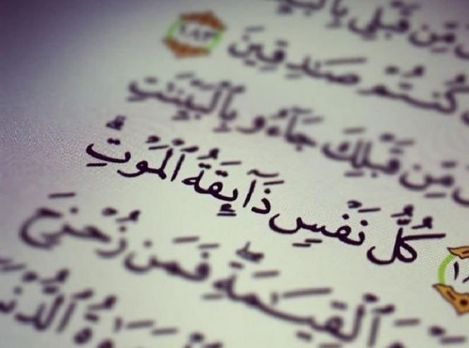 ايات قرانية عن الموت بالصور ايات قرانية عن الموت بالصور