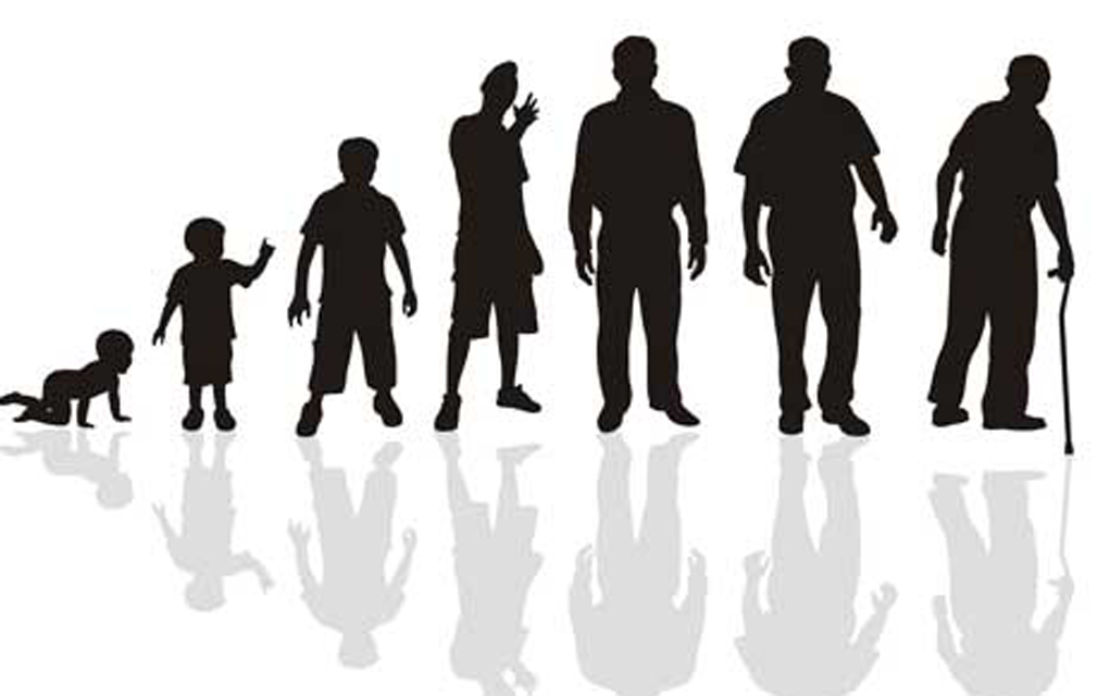 متى يتوقف طول الرجل