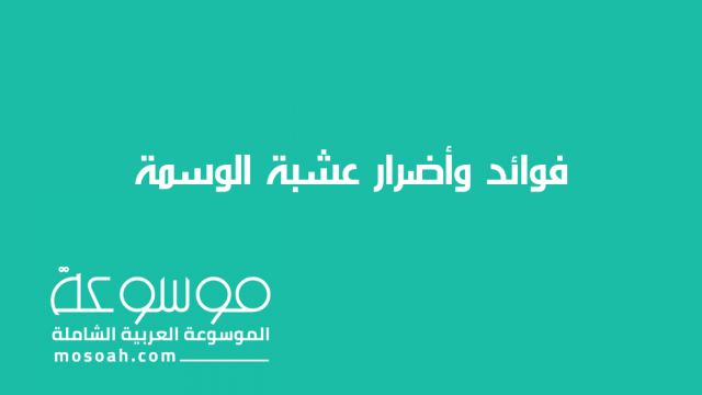 ما هي فوائد عشبة الوسمة وطريقة تحضيرها وأضرارها