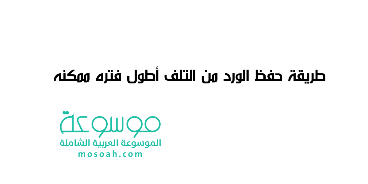 طريقة حفظ الورد من التلف أطول فتره ممكنه