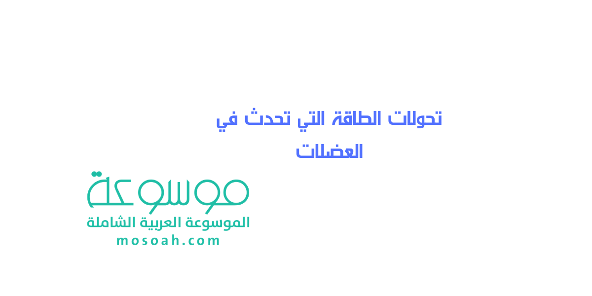 ما تحولات الطاقة التي تحدث في العضلات شرح شامل مبسط