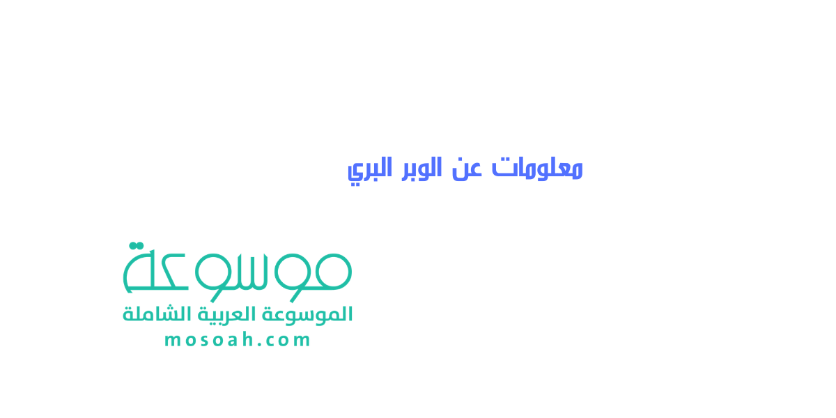 معلومات عن الوبر البري