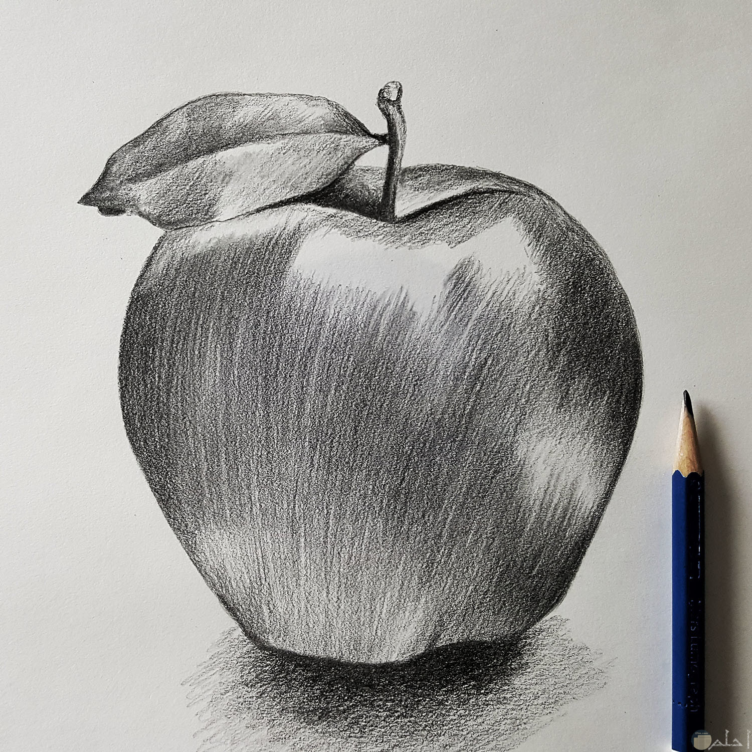 رسومات بالرصاص سهلة رسومات بالرصاص سهلة
