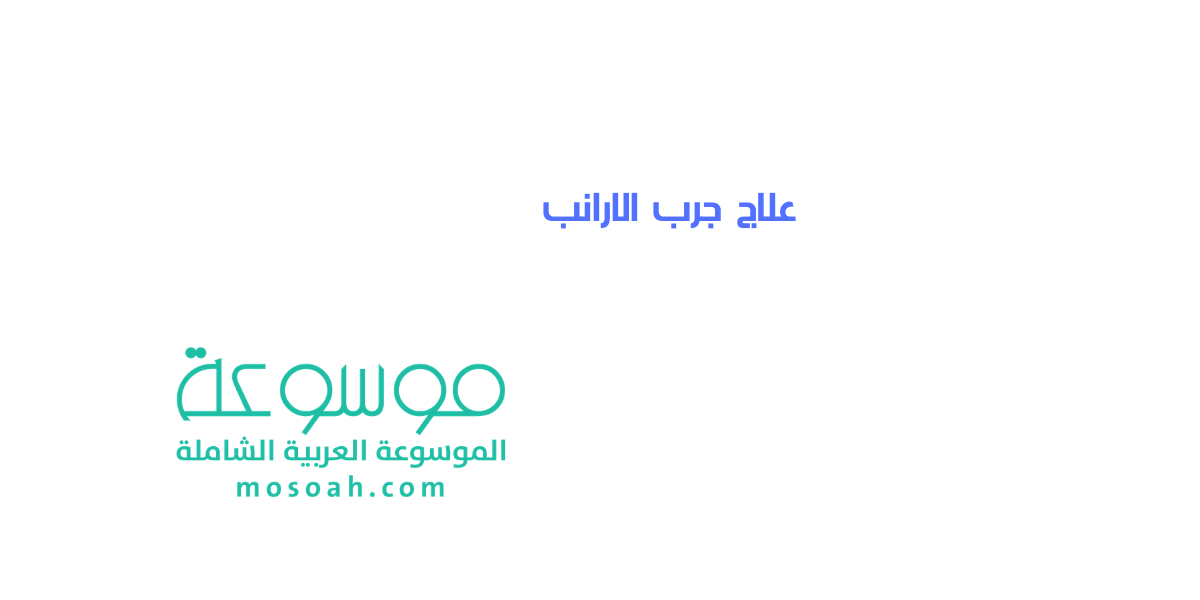 كيفية علاج جرب الارانب في أسرع وقت