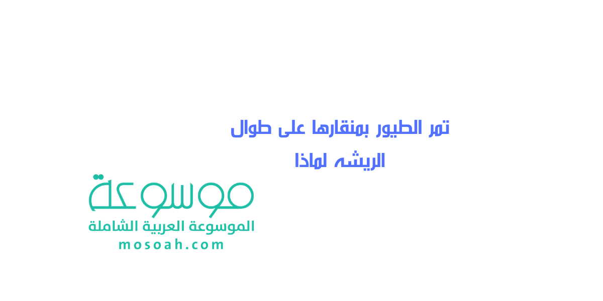 تمر الطيور بمنقارها على طوال الريشه لماذا