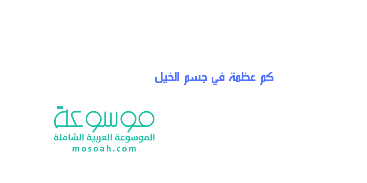 كم عظمة في جسم الخيل وتركيبة جسم الحصان بالتفصيل