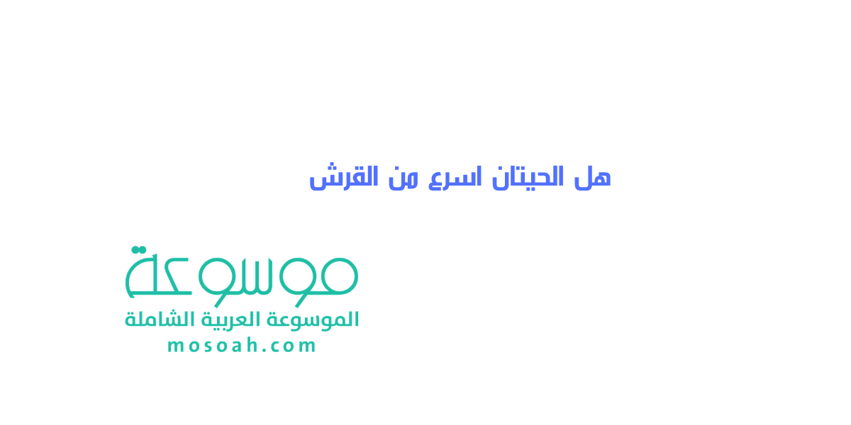 هل الحيتان اسرع من القرش أيهما أخطر والفرق بين كل منهما