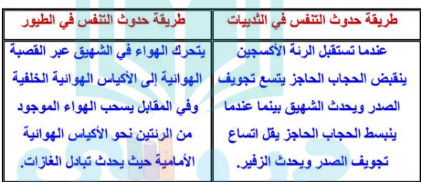 قارن بين طريقة حدوث التنفس في الثدييات وفي الطيور قارن بين طريقة حدوث التنفس في الثدييات وفي الطيور