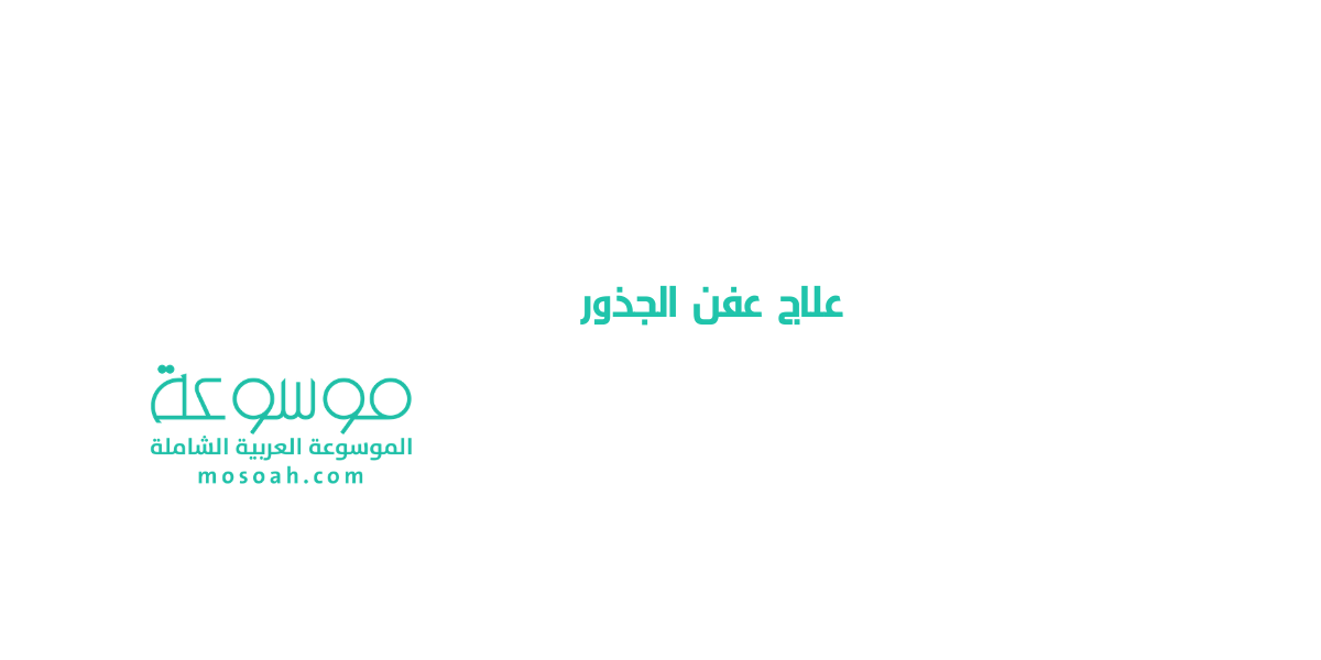 أفضل علاج عفن الجذور وأهم أسباب تعفن الجذور