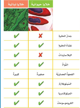 اي الاجزاء التالية يوجد في الخلية النباتية فقط اي الاجزاء التالية يوجد في الخلية النباتية فقط