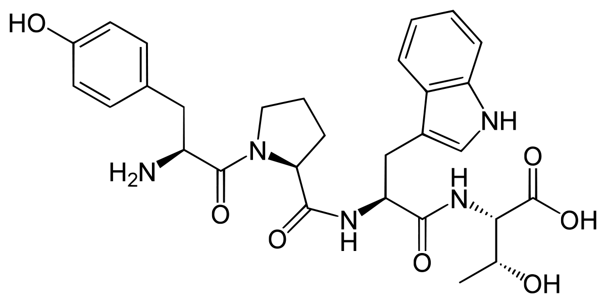 بحث عن الصيغة الأولية والصيغة الجزيئية