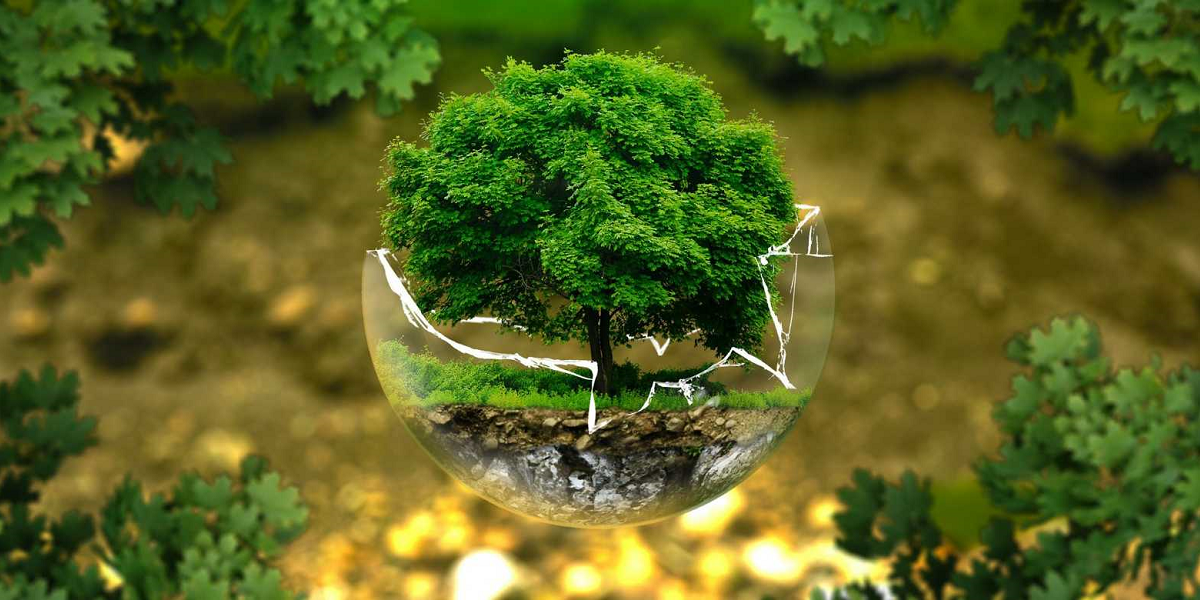 بحث عن مبادئ علم البيئة ونشأته ومجالاته مع المراجع