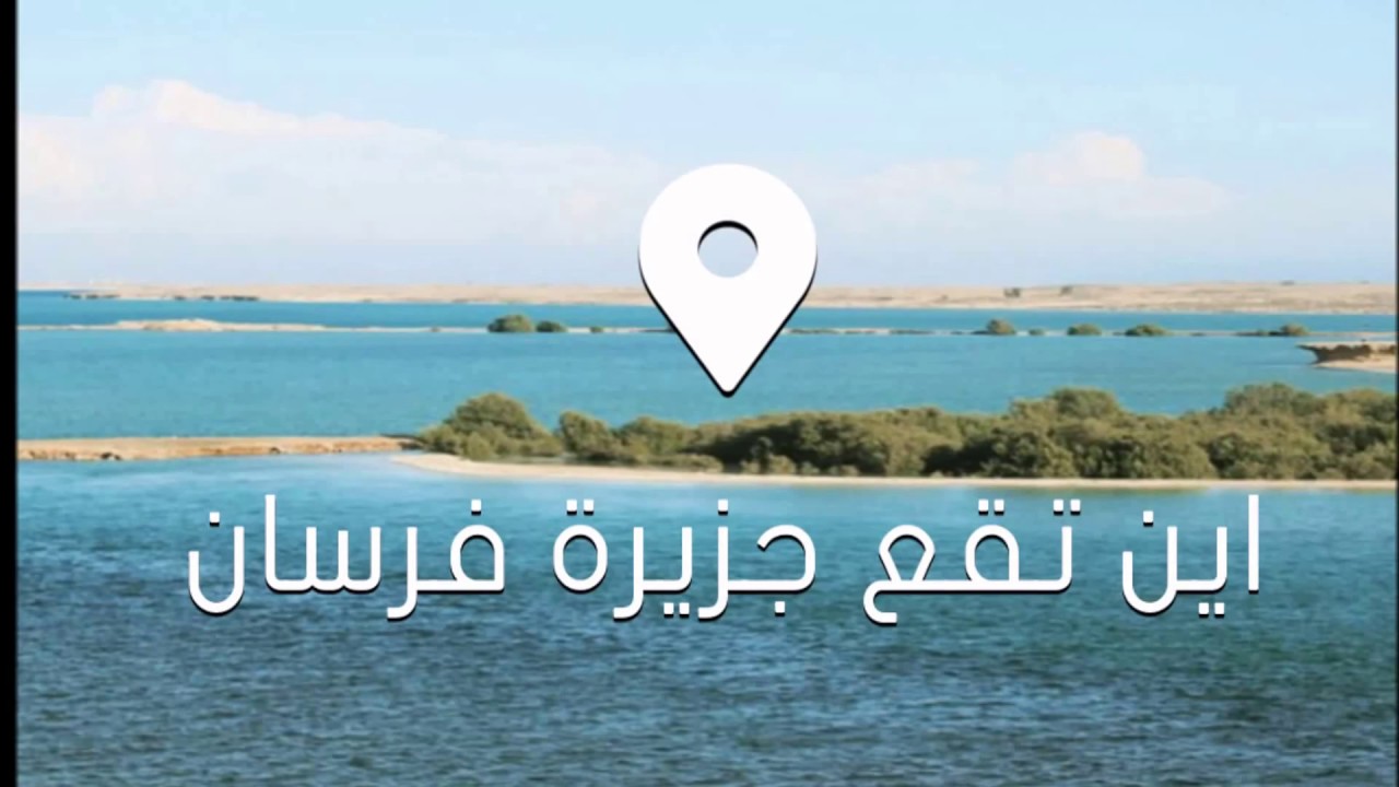 كم عدد جزر فرسان .. معلومات عن جزر فرسان وأهم معالمها السياحة 2024