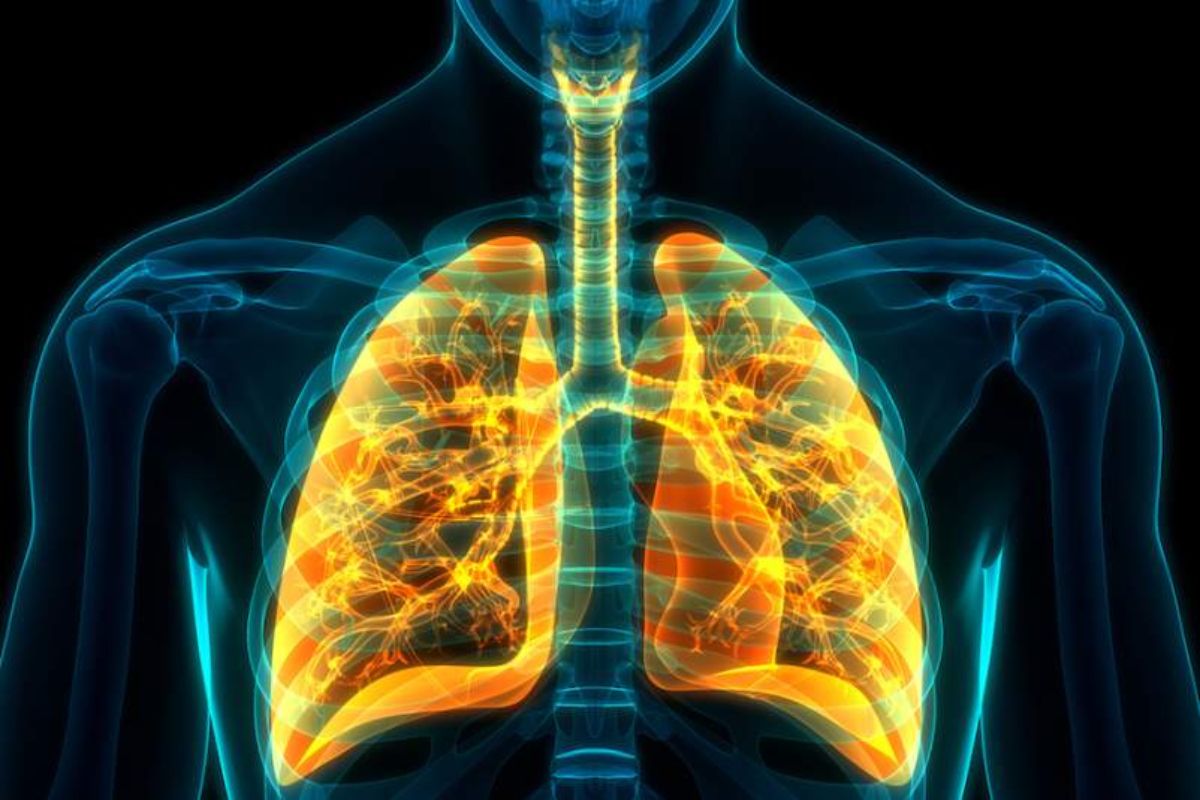 لماذا يجب ان تبقى القصبة الهوائية مفتوحة طوال الوقت