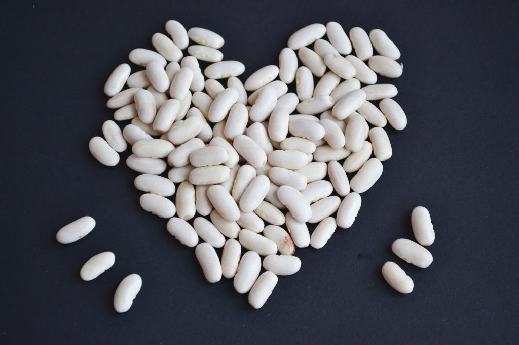 القيمة الغذائية للفاصوليا البيضاء .. فوائد الفاصوليا البيضاء الصحية