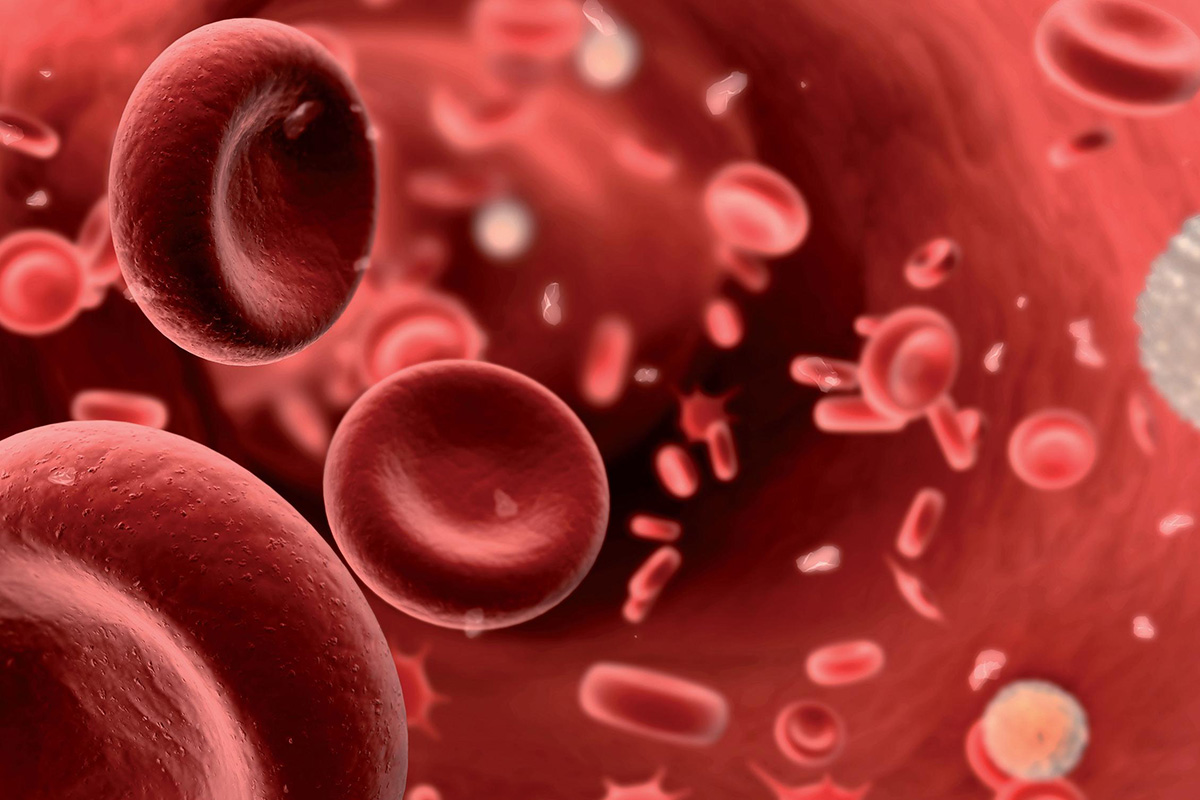 تنتج في مرض اللوكيميا سرطان الدم باعداد هائله