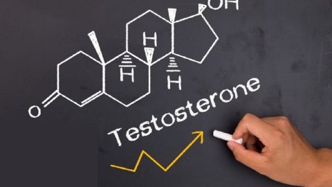 خطوات زيادة هرمون التستوستيرون “هرمون الذكورة ” بالأعشاب والأدوية