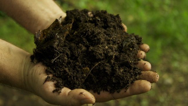 كيفية علاج ملوحة التربة .. أحدث وأسرع طرق حل الأرض المالحة