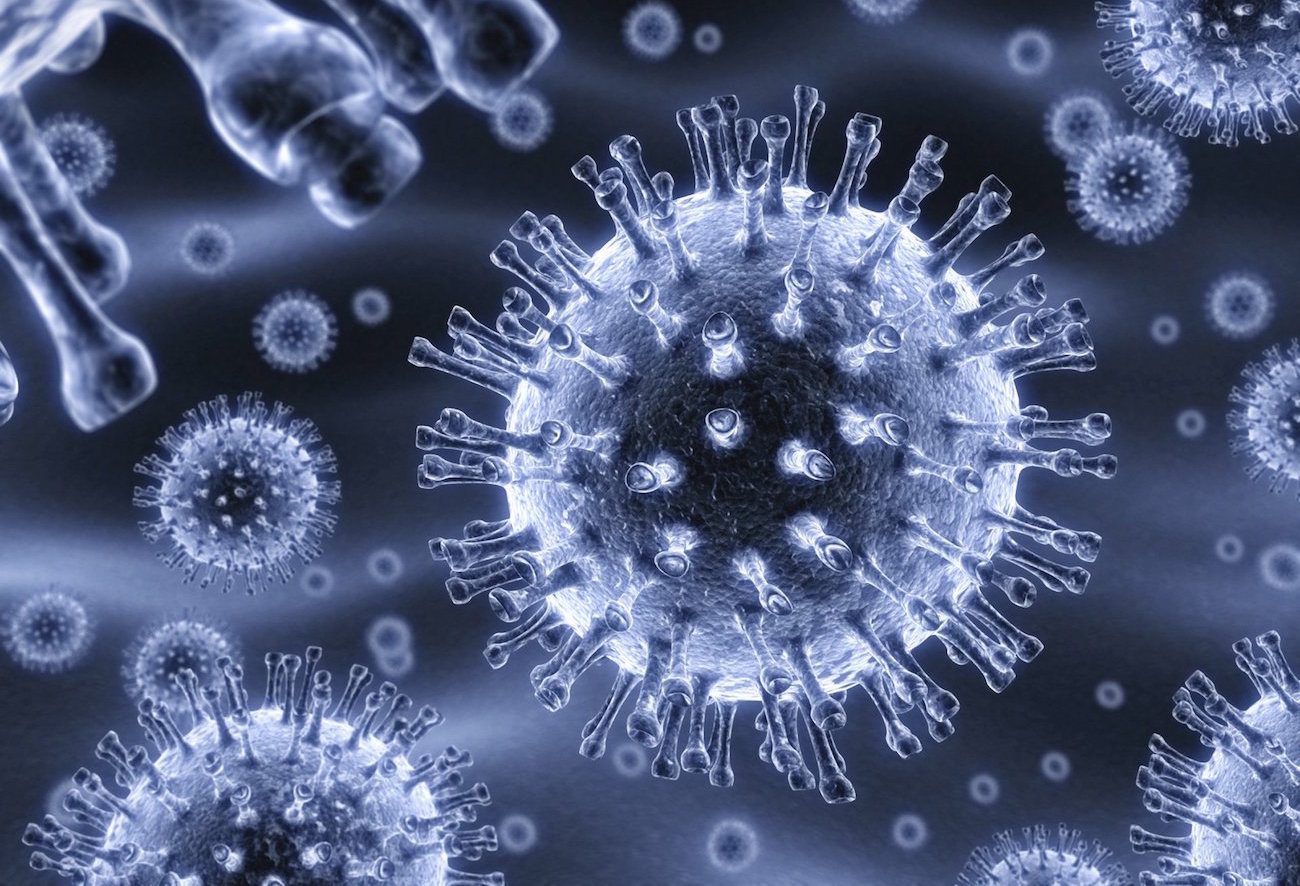 اكتب قائمة تبين فيها فوائد دراسة علم الاحياء