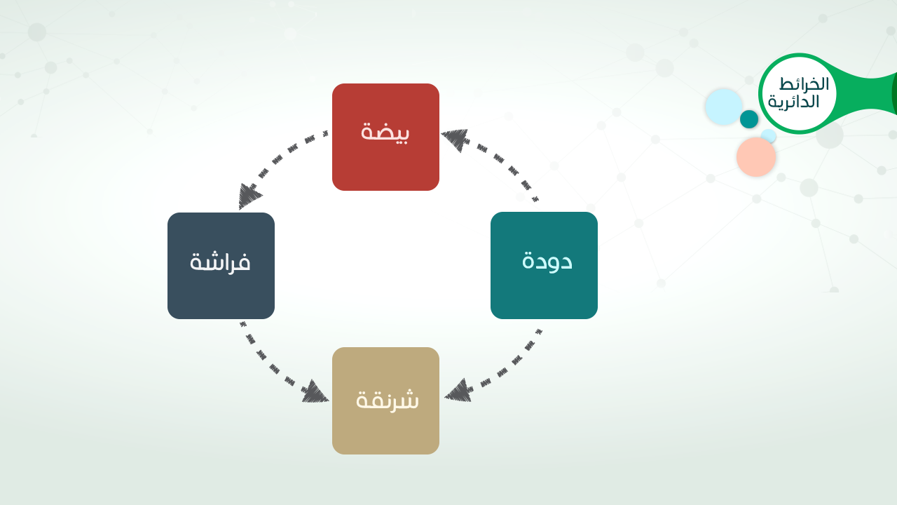 خريطة مفاهيم فارغة صغيره خريطة مفاهيم فارغة صغيره