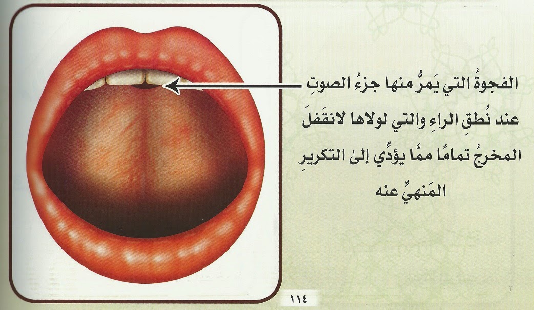 كيفية علاج لدغة الراء في أسرع وقت .. تدريبات علاج اللدغة الرائية