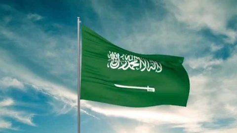 من الجهة التي تصدر النظام في المملكة العربية السعودية