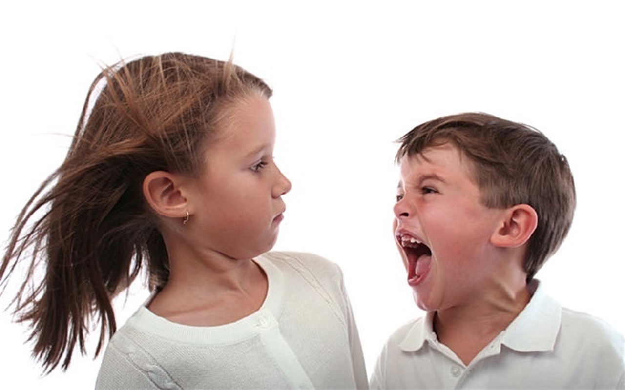 من السلوكيات السلبية في نص المدخل نعت البائع بجنسية بلاده وكأنها سبة