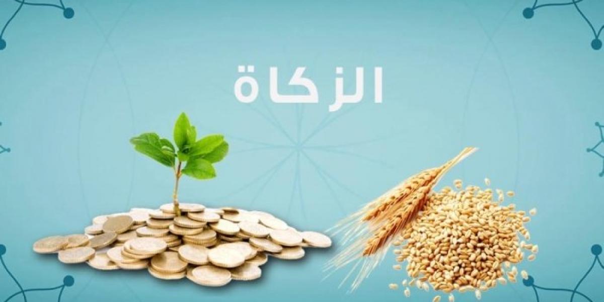 حكم زكاة السائمة من بهيمة الأنعام اتخاذها من أجل ألبانها