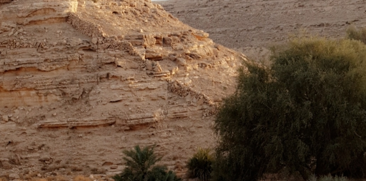 عريعرة اين تقع